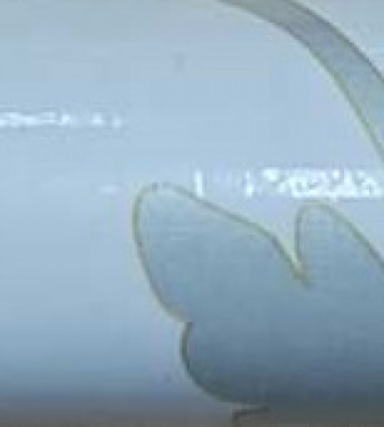 САМОКЛЕЙКА  6074 декор 7м/45см PVC*20